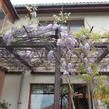 Apartament Sea & Garden